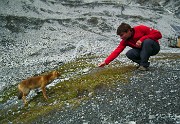 02 La volpe del Quinto Alpini